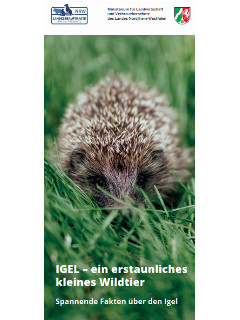 Vorschaubild Vorschaubild_Igel Flyer.png