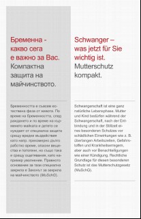 Vorschaubild Vorschaubild 2: Schwanger - was jetzt für Sie wichtig ist.- Bulgarisch -