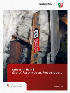 Vorschaubild Vorschaubild 1: Asbest im Haus?