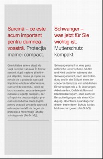 Vorschaubild Vorschaubild 2: Schwanger - was jetzt für Sie wichtig ist.-rumänisch-