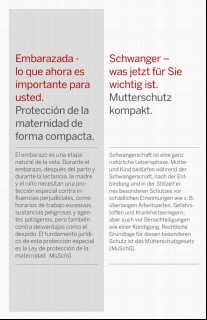 Vorschaubild Vorschaubild 2: Schwanger - was jetzt für Sie wichtig ist - Spanisch -