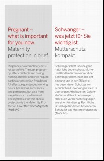 Vorschaubild Vorschaubild 2: Schwanger - was jetzt für Sie wichtig ist.-englisch-