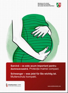 Vorschaubild Vorschaubild 1: Schwanger - was jetzt für Sie wichtig ist.-rumänisch-