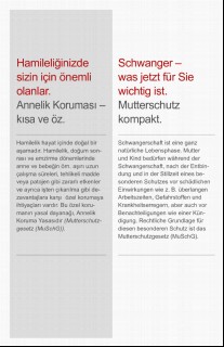 Vorschaubild Vorschaubild 2: Schwanger - was jetzt für Sie wichtig ist.-türkisch-